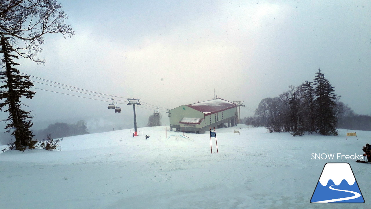 札幌国際スキー場。いよいよ厳冬期へ突入へ。冬が本気を出して来ましたよ♪